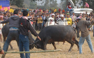 Photo by Manash Jyoti Dutta