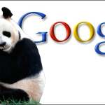 Google Panda Update Google Panda Update