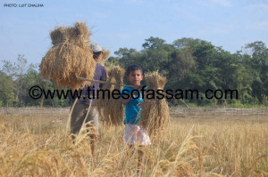 Luit Chaliha Photography in Times of Assam