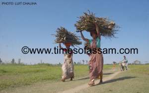 Luit Chaliha Photgraphy