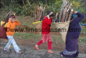 Luit Chaliha Photography