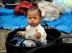 Partha Prawal Goswami Photography Partha Prawal Goswami Photography