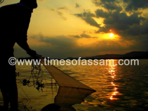 Ankur J Das Photography