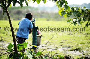 Ankur J Das Photography