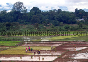 Luit Chaliha Photography