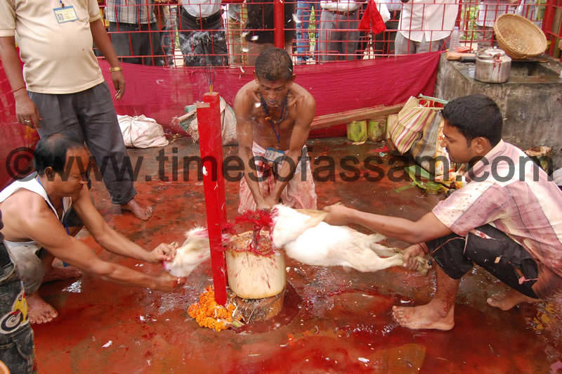 In the name of religion, we have forgotten humanity for all the time.