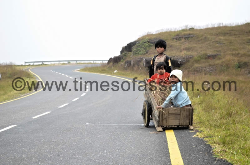 Ankur J Das Photography